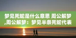 周公解梦门槛蛇 正版周公解梦原版缩略图