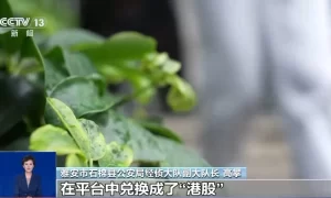 线上“认养黑猪”就能赚钱？小心，这是新型网络传销缩略图