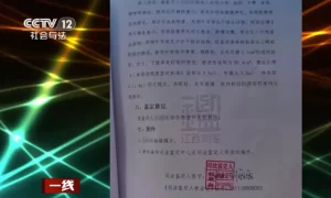 电影《默杀》引热议！这些对抗校园霸凌的真实故事更戳心缩略图