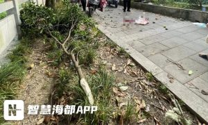 事发福州五四北！一男子坠地身亡缩略图