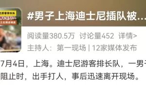 “男子插队不成动手伤人”“IP玩偶溢价20倍”……迪士尼接连上热搜，黄牛乱象何时休？缩略图