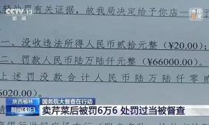 个体户卖一瓶78元过期葡萄酒被罚5万元，最高检：典型的“小过重罚”缩略图