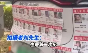 私家车贴满“小广告”，20万网友点赞！很多人也想贴……缩略图