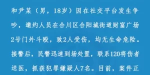 两男子邀约人员斗殴致2人受伤，重庆合川警方通报：抓获犯罪嫌疑人7名缩略图