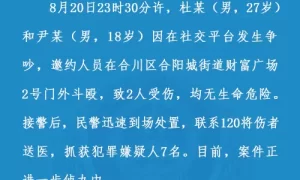 两男子邀约人员斗殴致2人受伤，重庆合川警方通报：抓获犯罪嫌疑人7名缩略图