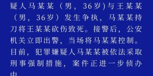 高密警方通报一起刑事案件：男子持刀将1人砍伤致死，嫌疑人被依法采取刑事强制措施缩略图