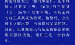 高密警方通报一起刑事案件：男子持刀将1人砍伤致死，嫌疑人被依法采取刑事强制措施缩略图