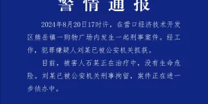 辽宁营口警方通报“购物广场内发生刑案”：犯罪嫌疑人已被刑拘，被害人没有生命危险缩略图