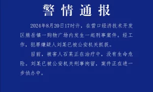 辽宁营口警方通报“购物广场内发生刑案”：犯罪嫌疑人已被刑拘，被害人没有生命危险缩略图