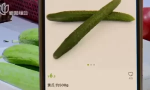 多地菜价上涨，什么原因？何时回落？缩略图