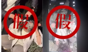 女子野外直播，被男子强制剃头后带走？ 昆明警方迅速行动后发现……缩略图