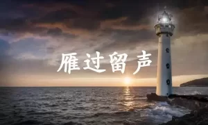 雁过留声