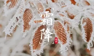 2018狗年霜降宝宝秋意起名大全缩略图