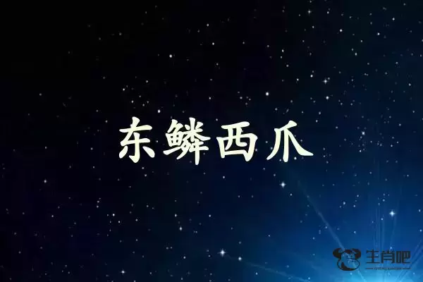 东鳞西爪