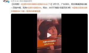 孟晚舟现身刘德华深圳演唱会，大屏拍到时还比心缩略图