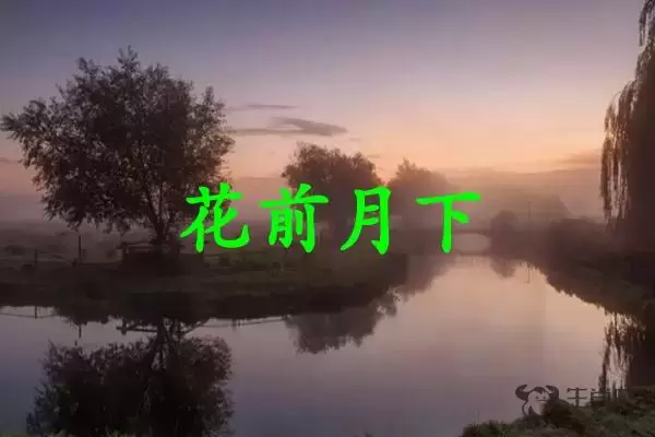 花前月下是什么生肖插图