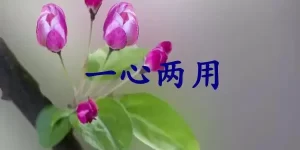 一心两用