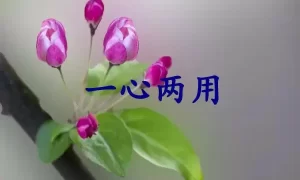 一心两用