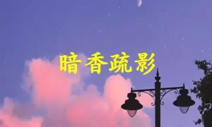 暗香疏影