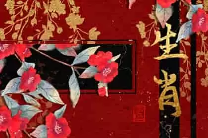 12生肖猪和什么生肖配 和生肖兔是最佳夫妻配对之一 12生肖猪和什么生肖配 和生肖兔是最佳夫妻配对之一