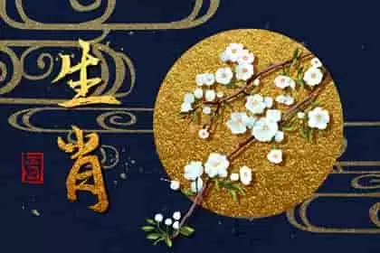 猪配什么生肖好 生肖属猪男属兔女吉祥如意