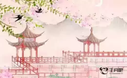 生肖虎女配什么生肖是最好 生肖虎女和生肖属猪男彼此取悦