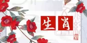 生肖虎女配什么生肖男好 虎女和狗男是很好的组合