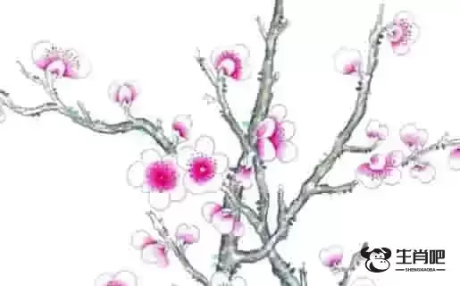 1613461175584884.jpg 2021-01-12_140511.jpg