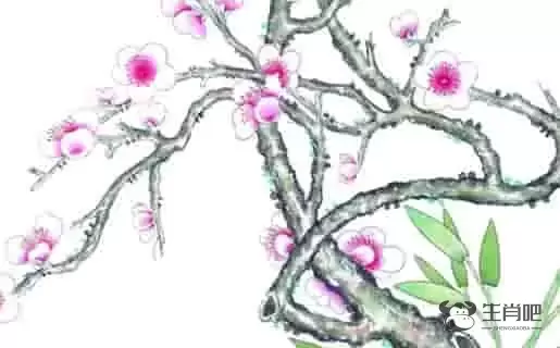 1613461162777353.jpg 2021-01-12_140514.jpg