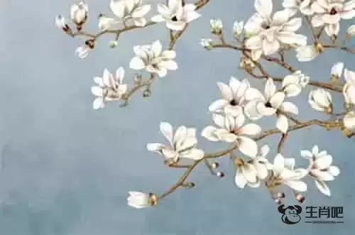 属牛的和什么属相最配 与哪个生肖相克