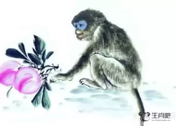 生肖猴和什么生肖配对好 生肖猴的属相婚配表