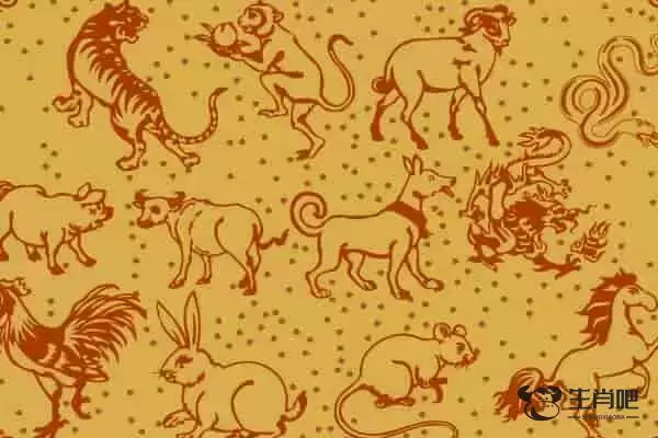 2019年十二生肖表 具体年份详解