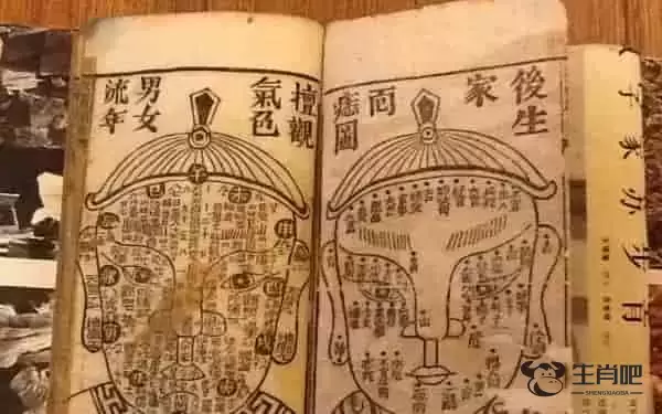 2021年出生是什么生肖 属牛