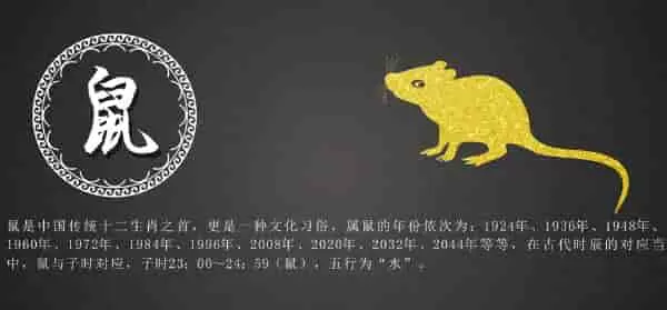 猪后面是什么生肖 解析这个生肖的命理特征