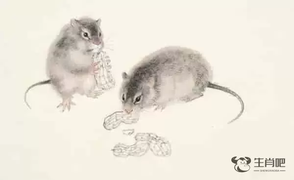 明年是什么生肖年 金鼠年