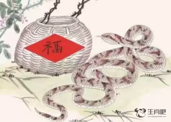 2013年是什么生肖年 巳蛇之年