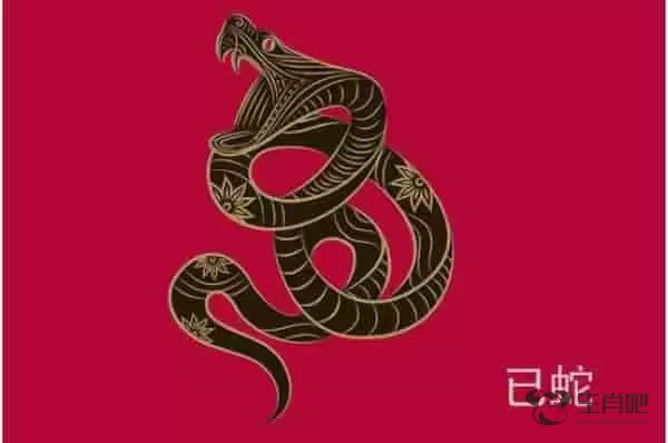2013年是什么生肖年 巳蛇之年