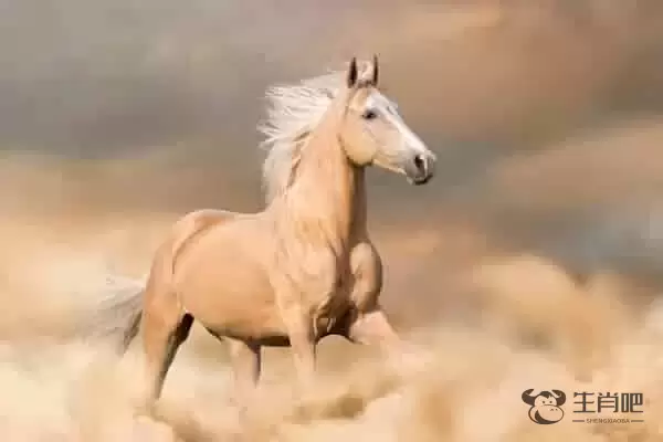 2020年刑太岁的生肖要注意的运势 三个刑太岁生肖