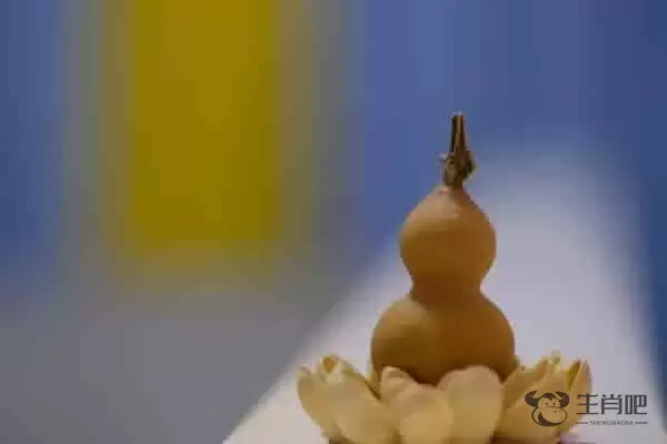 葫芦代表什么生肖 憨态可掬的生肖猪