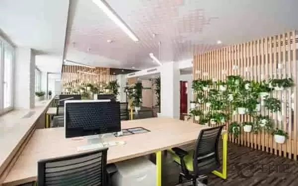 财主代表什么生肖 财主代表生肖虎人