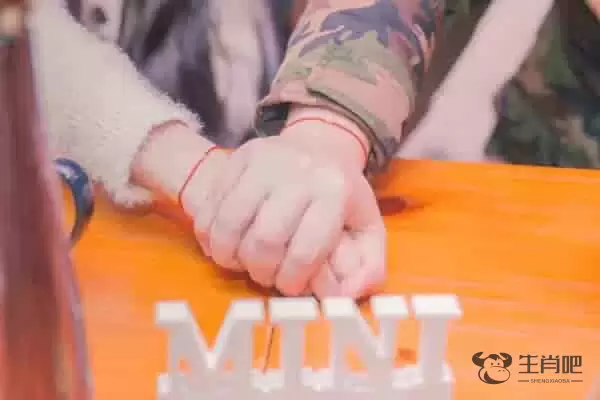 生肖属狗配什么属相 与属兔最配