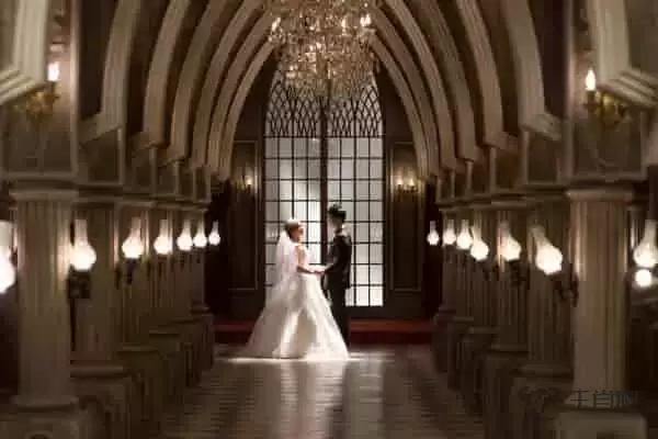 虎生肖配对姻缘 最佳配对属相