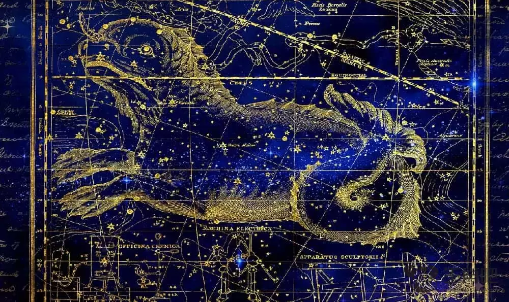 狗六个合生肖是什么