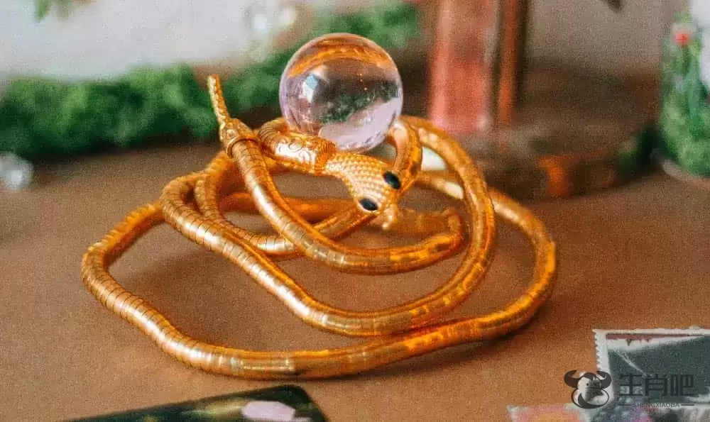 今日龙冲狗开什么生肖