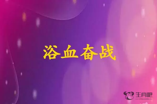 浴血奋战是什么生肖插图