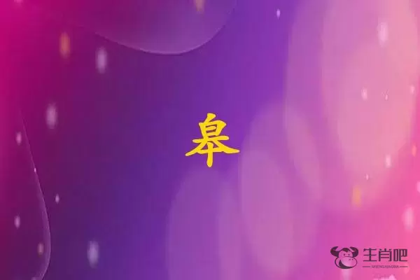 皋字打一生肖（皋字是什么生肖）插图