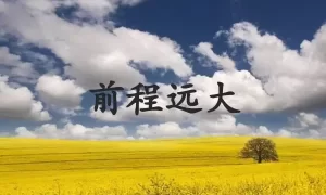 前程远大