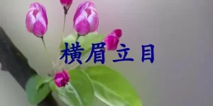 横眉立目