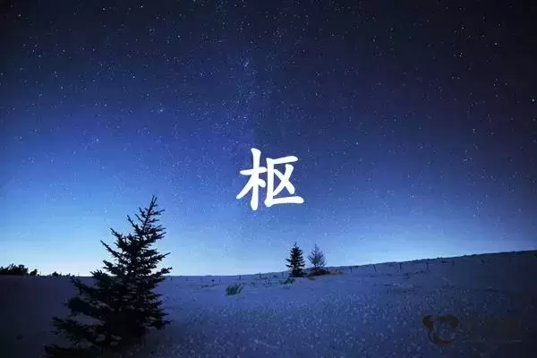 枢字打一生肖（枢字是什么生肖）插图