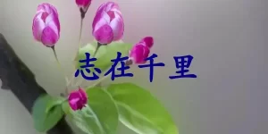 志在千里